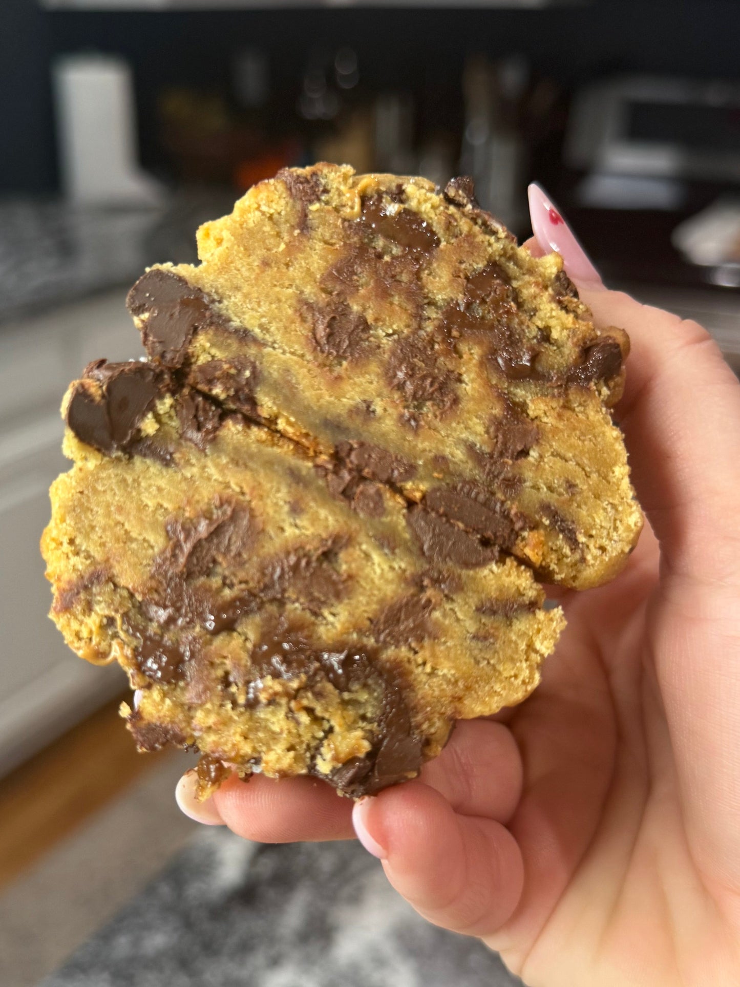 Chocolate Chip
