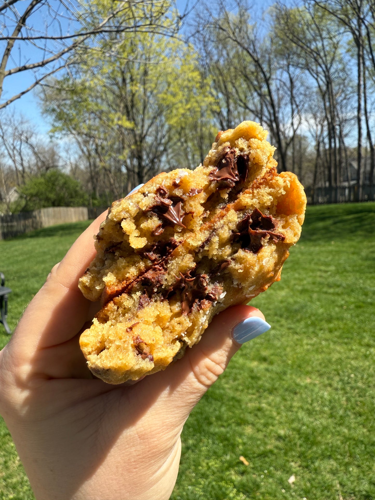 Chocolate Chip