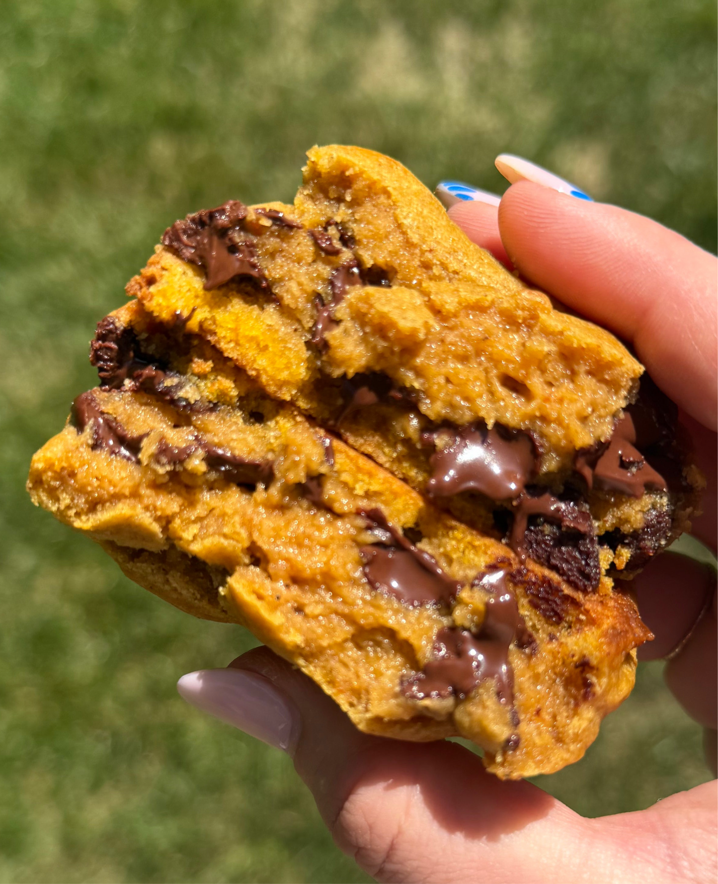 Pumpkin Chocolate Chip